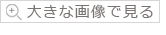 画像拡大