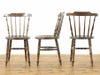 アンティーク家具 アイベックスチェア 58780c